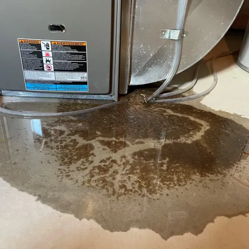 Appliance Leak Cleanup in Auburn, NH